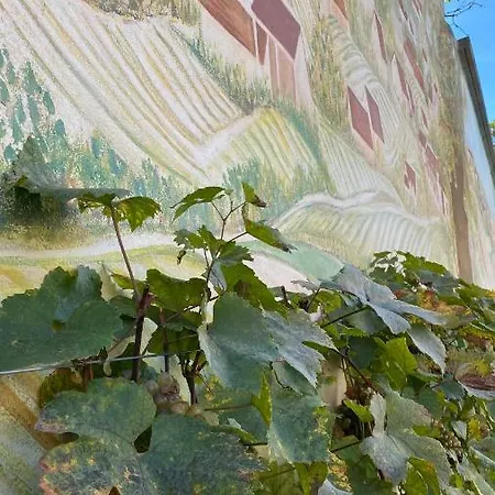 Bed & Breakfast Domaine Du Cellier De La Couronne