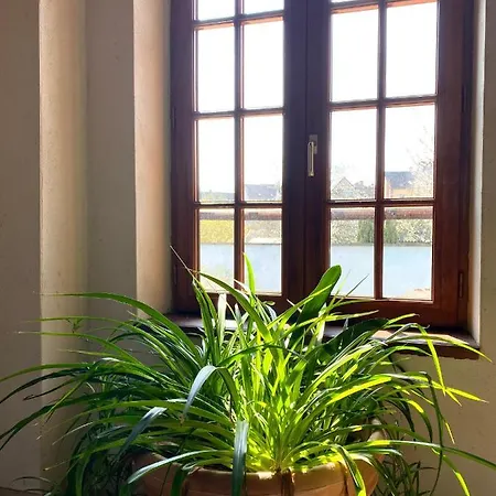 Domaine Du Cellier De La Couronne לינה וארוחת בוקר